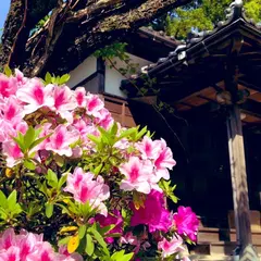 伊能子育て観音 圓應寺(円応寺)