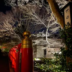 竹林の小径