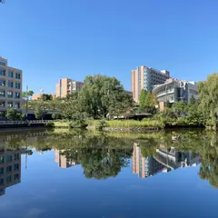 小松島公園