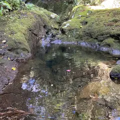 八丈島エコツアーガイド