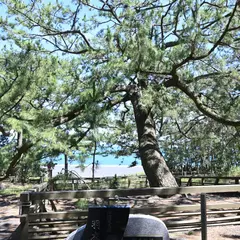 清水羽衣公園