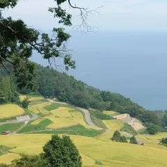 昇竜（岩首）棚田
