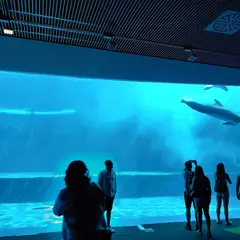 ジェノヴァ水族館