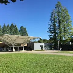 東北大学生活協同組合 川内北キャンパストラベルコープ