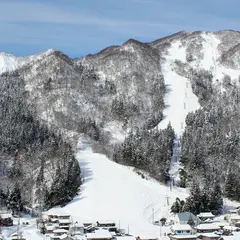 村上市ぶどうスキー場