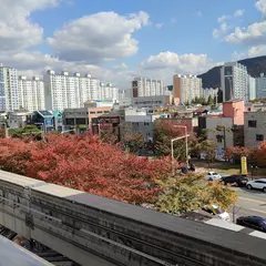 Dongcheon