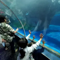 Underwater World Langkawi