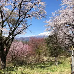 小鹿公園