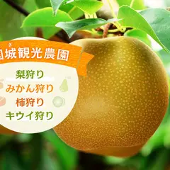 国城観光農園