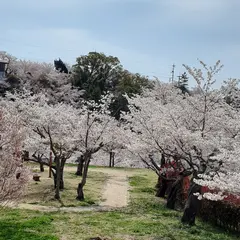 千光寺公園駐車場
