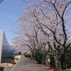 富士フイルムビジネスイノベーション 塚原研修所
