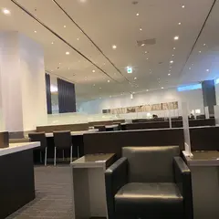 ANA SUITE LOUNGE (第５サテライト)