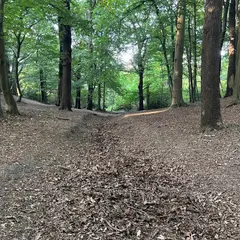 クロハム・ハースト・ウッズ
