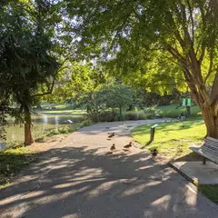 カリフォルニア大学デービス校