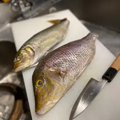 SUSHI&NATURE
