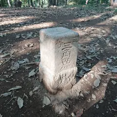 琴平山