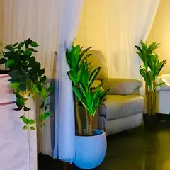 Tropical Day Spa