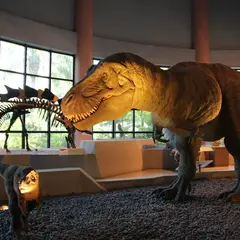 国立自然科学博物館