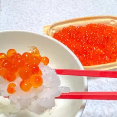 魚磯