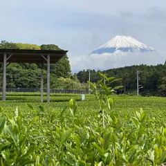 海と富士の茶の間 受付 まる茂茶園