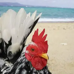 熱田ビーチ