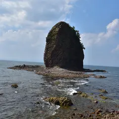 東北大学大学院生命科学研究科附属浅虫海洋生物学研究センター