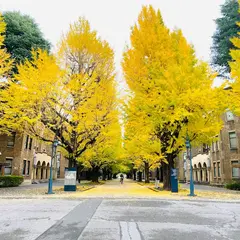 東京大学本郷キャンパス正門