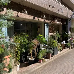 ポジィー（ＰＯＳＹ）
