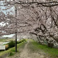 室見川河畔公園