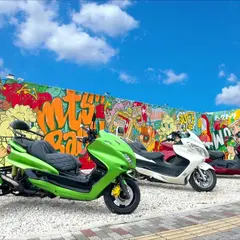 レイリー石垣島-レンタカー-トゥクトゥク-トライク-電動キックボードレンタル事業