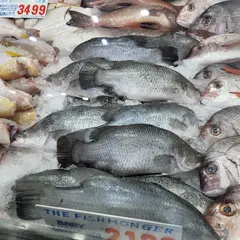 Fishmonger