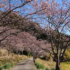 抱湖園