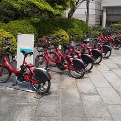 baybike ドックヤードガーデン