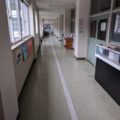 さくら咲く学校
