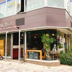 NICUTA