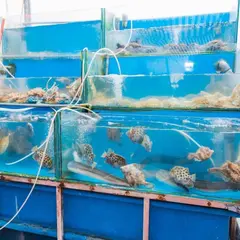 Nhà Hàng Hưởng Liên