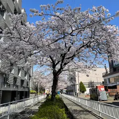 呑川緑道