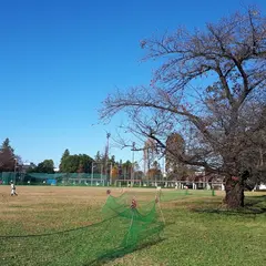 所沢航空記念公園 運動場