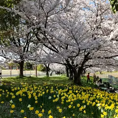 細口池公園