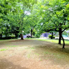 むくのき公園