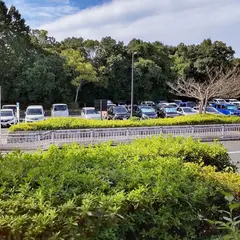 馬見丘陵公園 中央駐車場