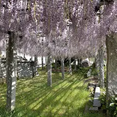 雉琴神社