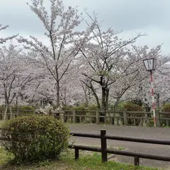 丸山公園