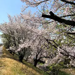 明神橋公園