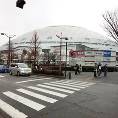 ナゴヤドーム 矢田南パーキング(神田)