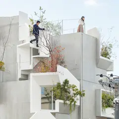 Tree-ness House