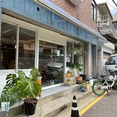 올라이트