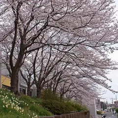 劇団四季芸術センター