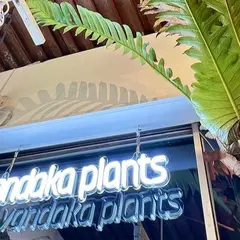 vandaka plants GALLERY TOKYO