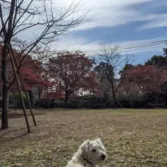 清水公園